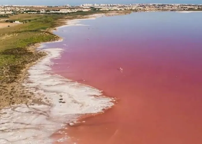 Apartament La Playa Torrevieja